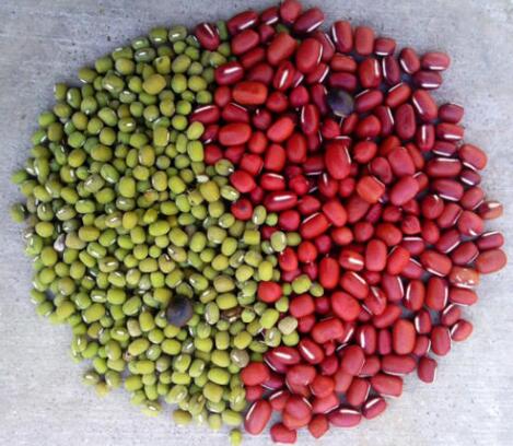 红豆绿豆减肥法怎么样？红豆绿豆减肥注意事项