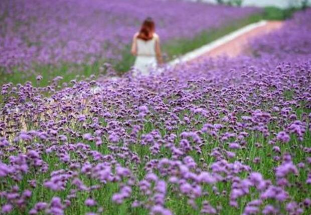 大声叫就一下深一点mp3，小雪顿时发出一声声意味不明的轻呼