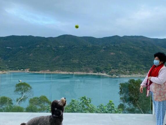 陈伟霆无敌海景房曝光 在家带娃遛狗超宽客厅