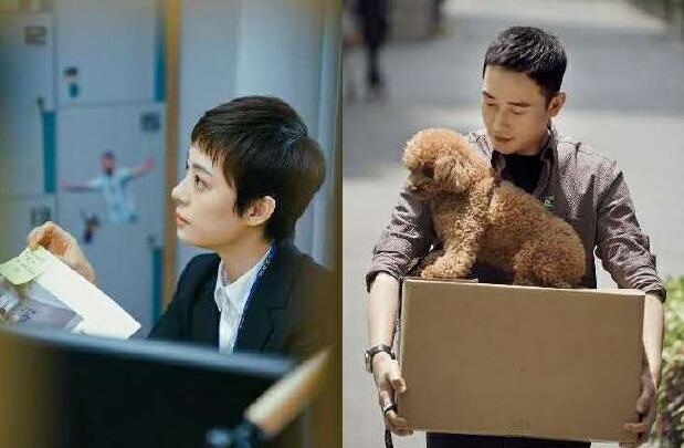 孙俪、罗晋主演的《安家》好看吗？安家豆瓣分是多少口碑好吗