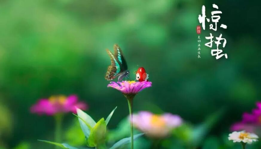 惊蛰节气如何饮食 选对了才能为身体养生保健