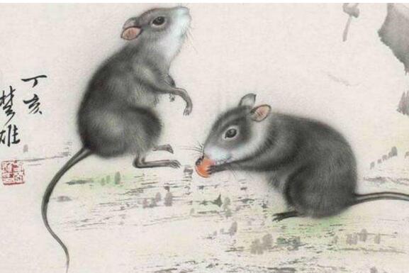 2020年十二生肖周运3.9-3.15 一周十二生肖各方面的运程