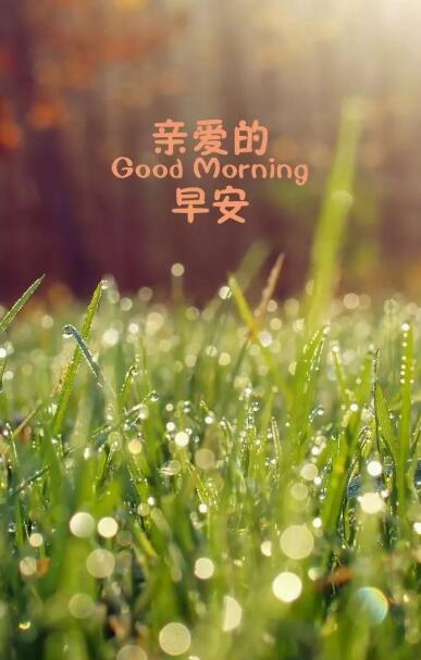 2020期待春天的唯美心情短语 没有一个冬天不能逾越