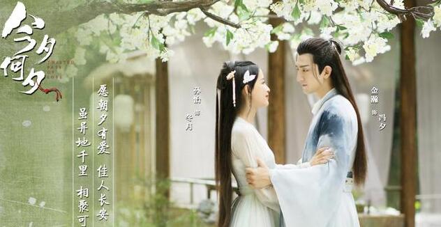 电视剧今夕何夕什么时候播出？男女主角是谁？