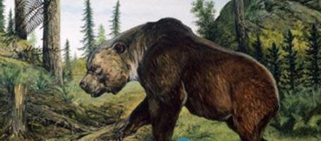 地球上体型最大的熊 巨型短面熊站立时高达5米