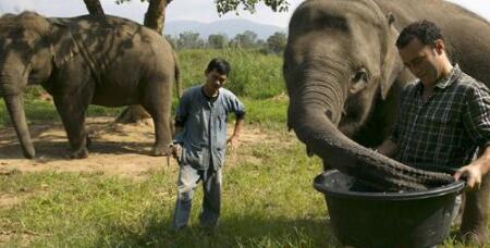 最贵的咖啡 象屎咖啡1公斤高达1800欧元