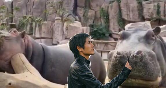 曝张柏芝全家人被赶下飞机是怎么回事 与空姐争执事件始末