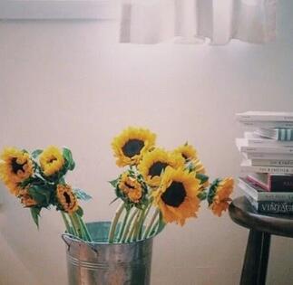 运势占卜 你的星座的爱情底线，快来康康