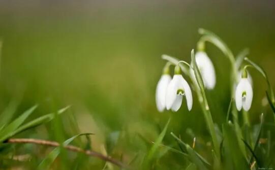 男票哄一哄就雨过天晴的四大星座女