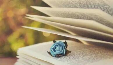 表面温和有礼 实则倔强刻进骨子里的星座