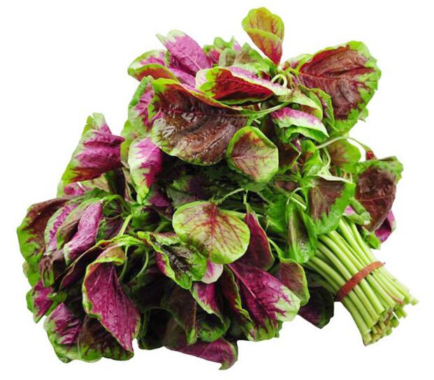 春季吃野菜不仅补充营养，还能治疗一些疾病 关于野菜的保健效果