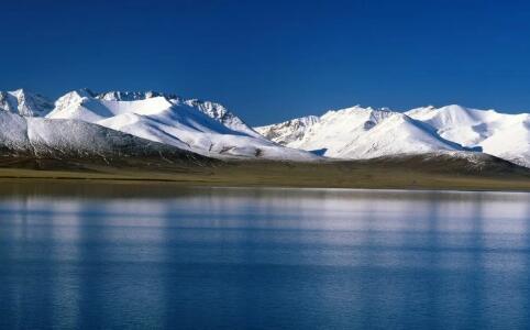 十二星座期盼爱情 又不想谈恋爱的星座