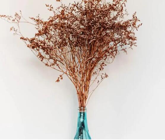 3.18星座运势 花有重开日 人也有再会时