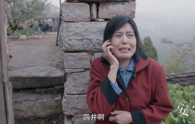 预测了安家潘贵雨多个版本的大结局 潘贵雨扮演者丁嘉丽个人资料简介