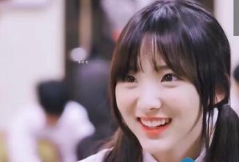 郑乃馨nene是哪国人个人资料 假偶天成泰剧全集在线观看