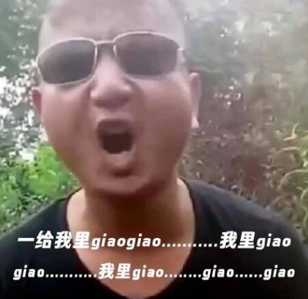 giao啥意思怎么读giao是什么梗什么意思出处介绍