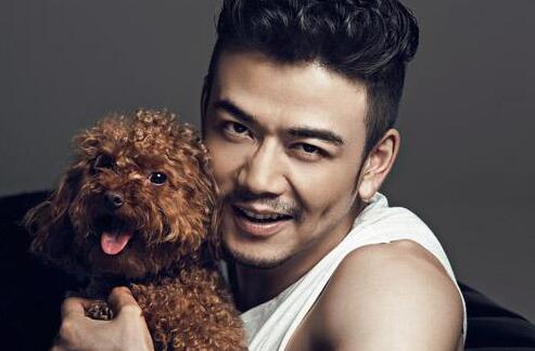 杨烁带一个小男孩的是什么电视剧 杨烁主演的电视剧全部