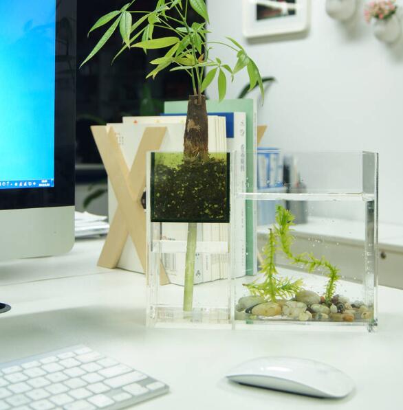 在风水学中，办公室禁忌有哪些？