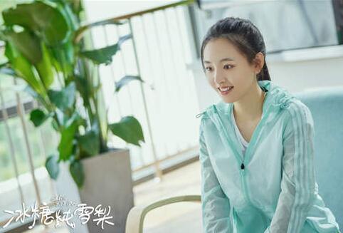 冰糖炖雪梨海外剧名一览 冰糖炖雪梨海外剧名 真是太搞笑