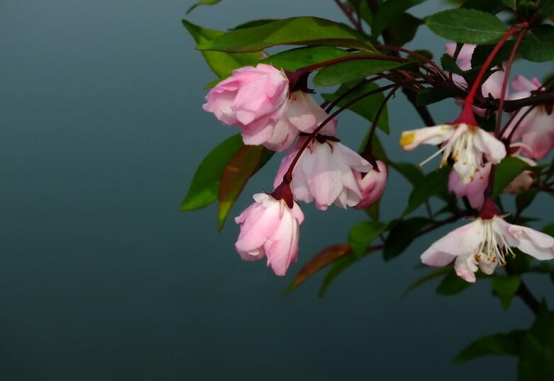 描写春天的四字词语 描写春天的四字成语大全