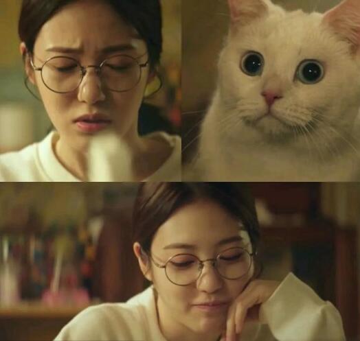 《你回来了》金明洙和辛叡恩讲述宠物猫变身“王子”的故事，温暖又甜蜜