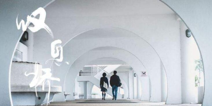 《叹息桥》港剧演员同台飙戏细节 烧脑颠覆想象观众大呼过瘾