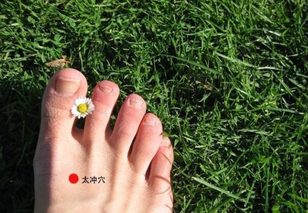 在春季，我们是否还常常觉得自己易上火？春季肝火旺盛该如何调理？