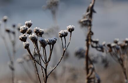 十二星座运势大全 天秤座的老板行事风格