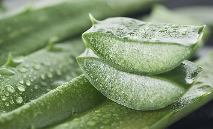 芦荟胶的正确用法是什么？芦荟胶的正确用法是在晒后使用