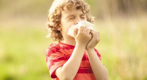 过敏性鼻炎怎么办？过敏性鼻炎找出病因是关键