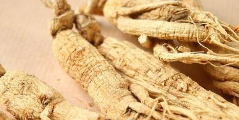 世上最大最重的人参 最重的人参重量达469克