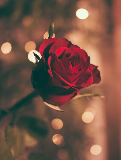 分手两字虽然说着简单，但也是很伤人的 女生找男生复合成功率大吗