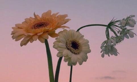 适合发朋友圈激励自己 简单快乐的心态句子