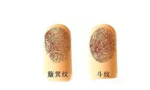 簸箕和斗怎么区分？手指上的斗和簸箕代表什么？簸箕和斗的意义讲解