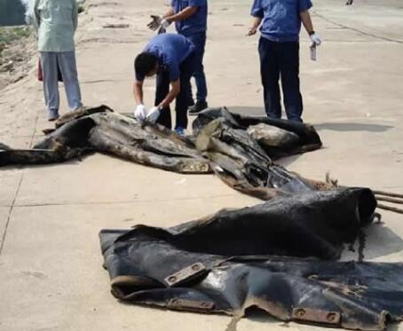 三峡水怪被打捞，三峡坝区神秘动物水怪真身，专家分析三峡神秘水怪是蛇