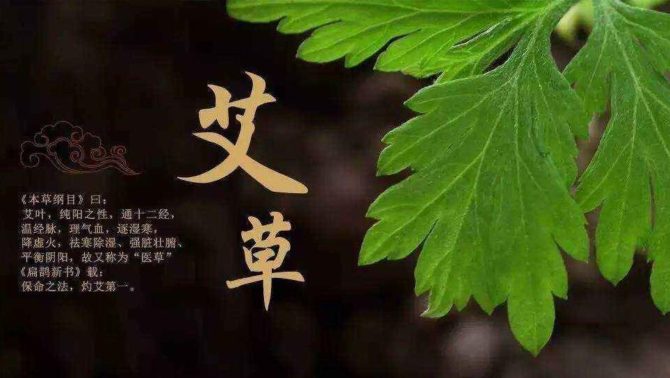 艾草泡脚的好处，艾草的吃法，艾草的功效与作用