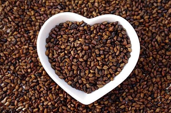 决明子怎么吃？决明子的功效与作用