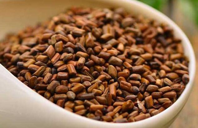 决明子可以天天喝吗？决明子和荷叶泡水喝的功效有哪些？