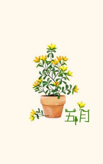 2020迎接五月的心情说说 四月再见五月你好短句