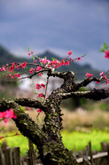 再见四月,你好五月 2020四月再见五月你好的心情句子说说