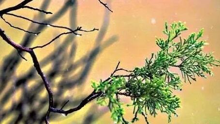 再见四月,你好五月:感恩所有的遇见 迎接人间五月天