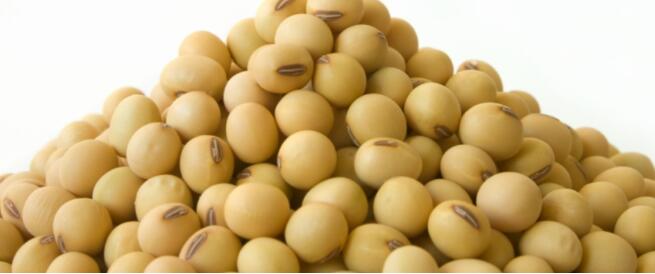 宝宝易缺钙几个时期　儿童吃什么食物补钙呢？