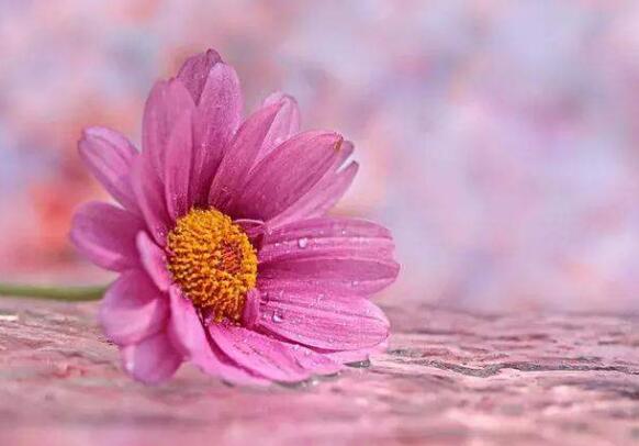 生日发朋友圈怎样写好 有创意的生日说说