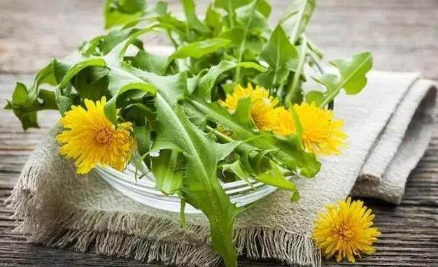 女性长期喝蒲公英水好吗,女人喝蒲公英水的作用