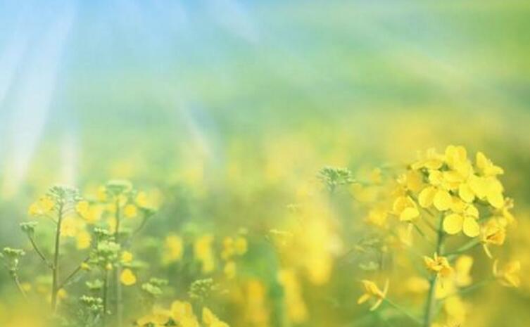 分手后伤感的话 分手后让对方心痛的话