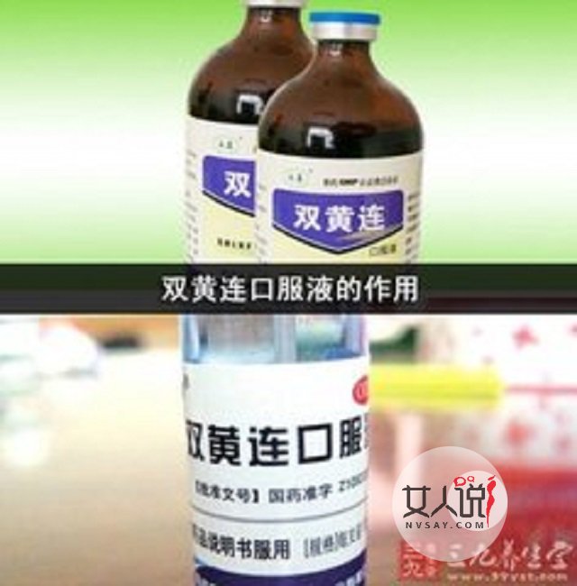 双黄连口服液的作用,这些你不能不知道的小常识
