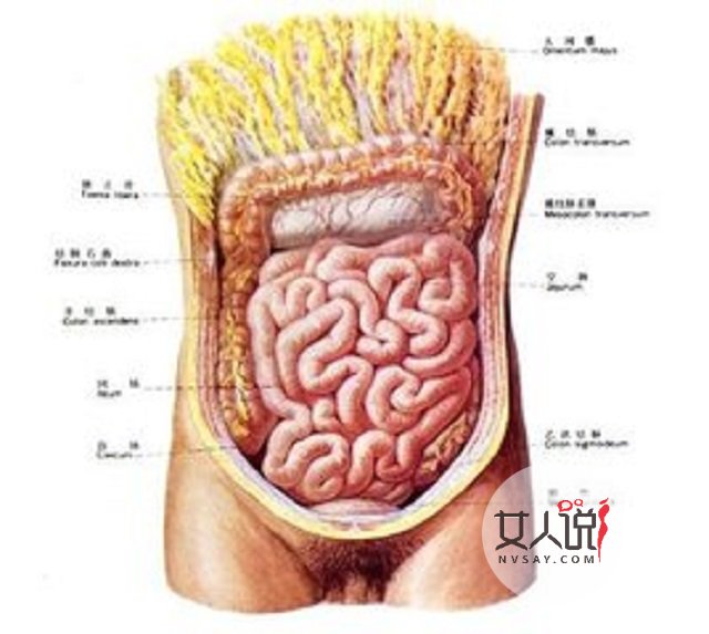 肠炎的这些你知道吗？一起来看一下吧。