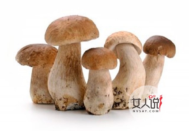 蘑菇怎么做好吃?这里告诉你小秘诀哦,别人我不告诉他