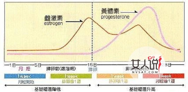 月经周期怎么算?看看这里就知道答案啦