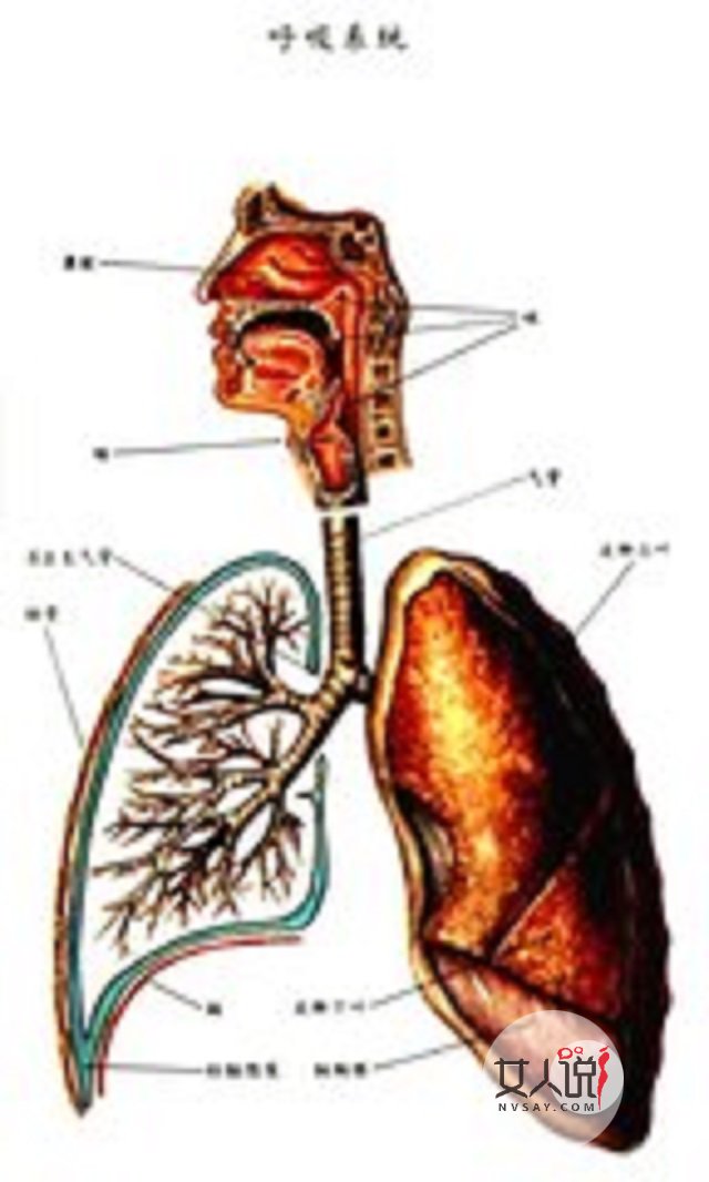 小孩支气管肺炎,你没办法?不能错过的小知识